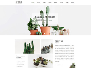 flowers-1130982