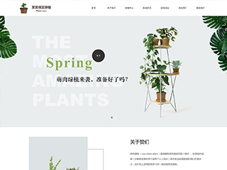 flowers-1133314