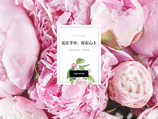 flowers-1135697