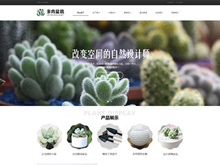 flowers-1139165