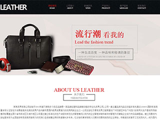 精美模板-leather-100