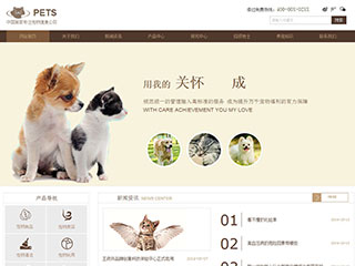 pets-100