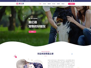 pets-1040613