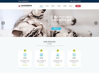 pets-1044207