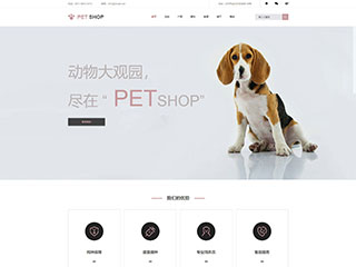 pets-1044956