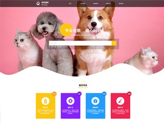 pets-1044997