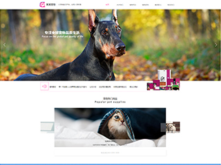 pets-1048903