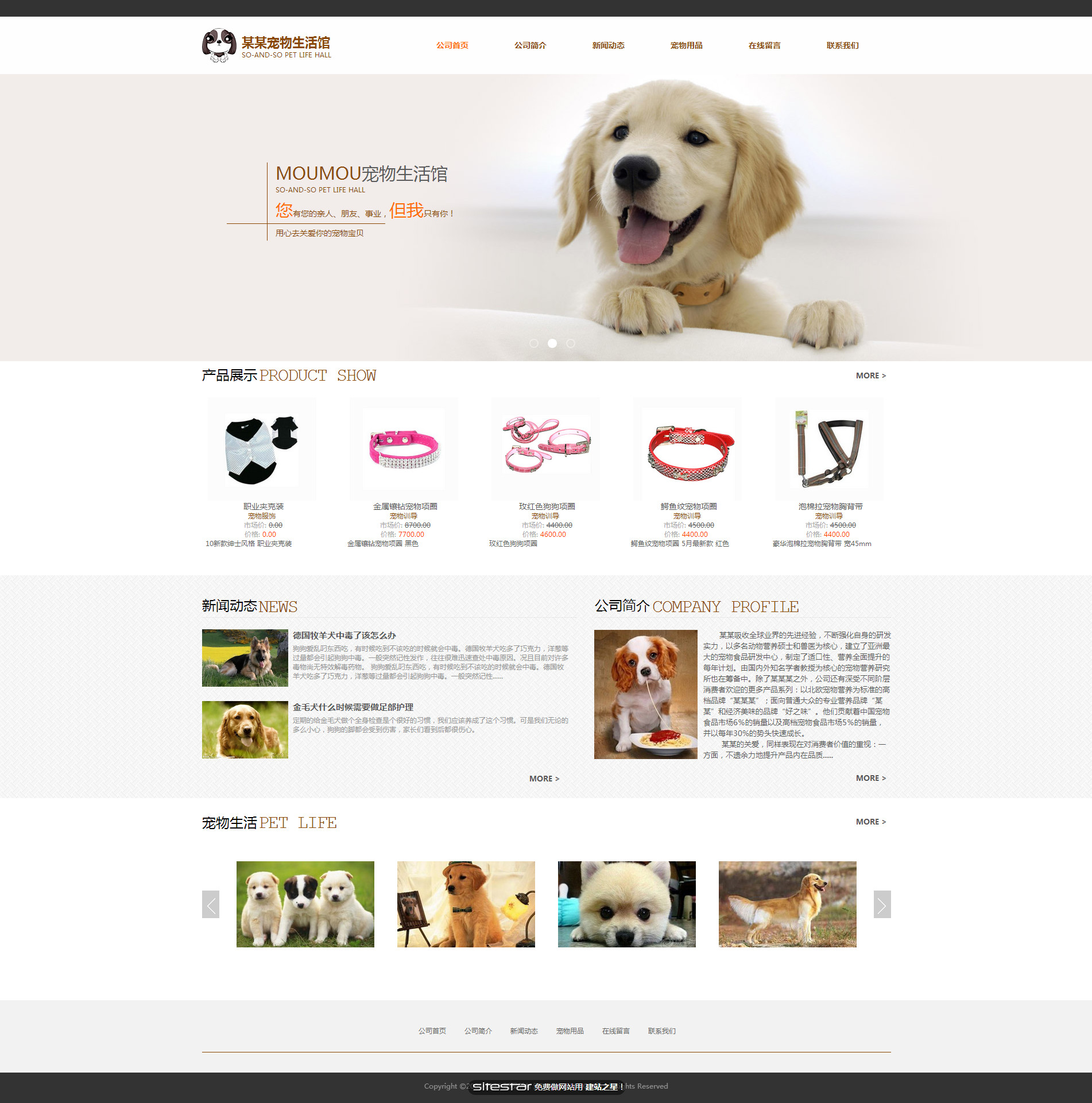 企业网站精美模板-pets-109