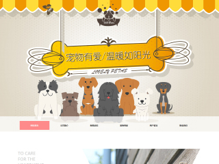 pets-113