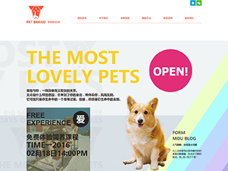 pets-114