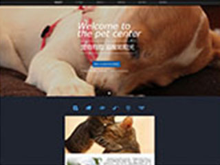 pets-127