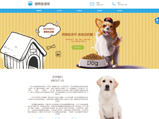 pets-330