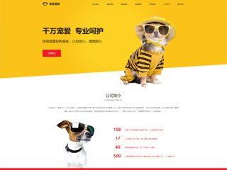 pets-488