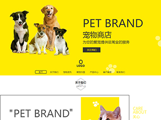 pets-50