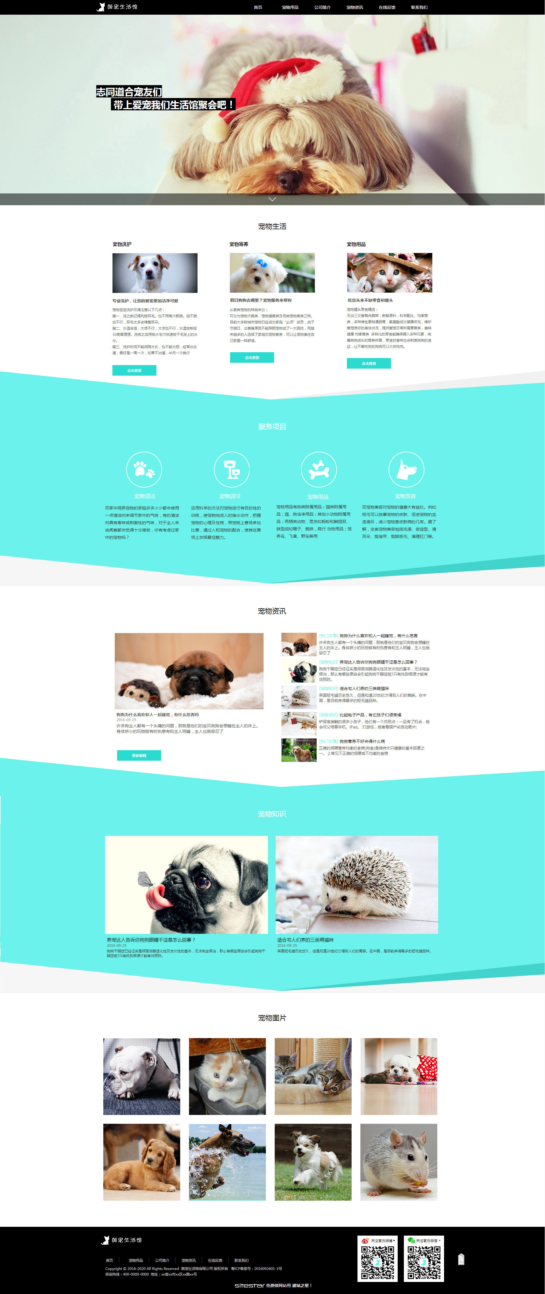 企业网站精美模板-pets-60