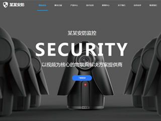 security-411
