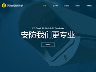 security-500