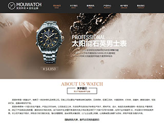 watch-107