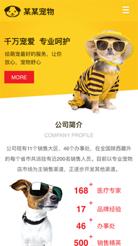 宠物网站建设-宠物网站设计-宠物网站制作-宠物网站开发-宠物网页设计