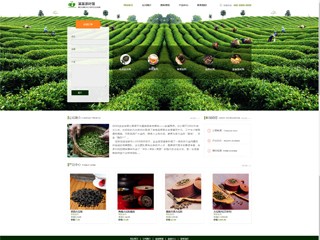 茶叶网站模板1312